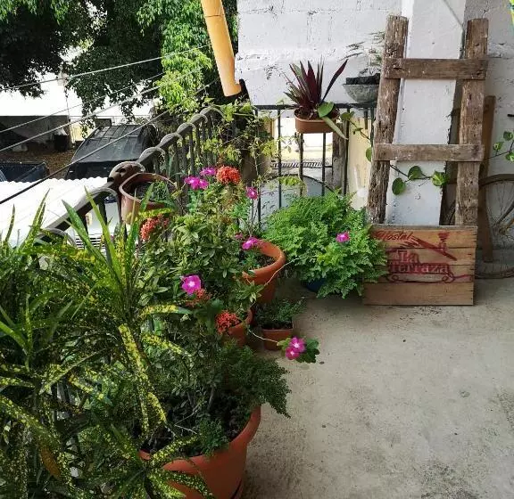 La Terraza Hostel