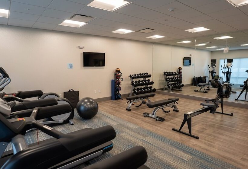 酒店 Holiday Inn Express & Suites Richburg, An Ihg