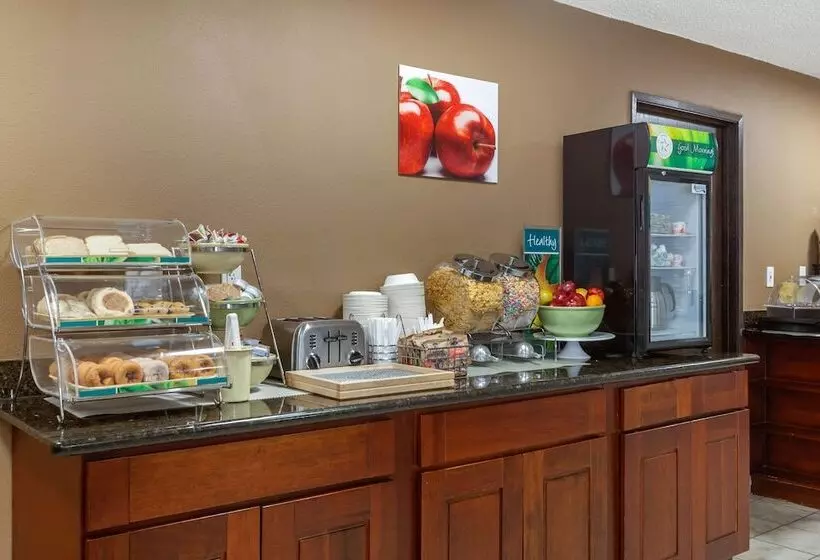 Hotelli Rodeway Inn & Suites