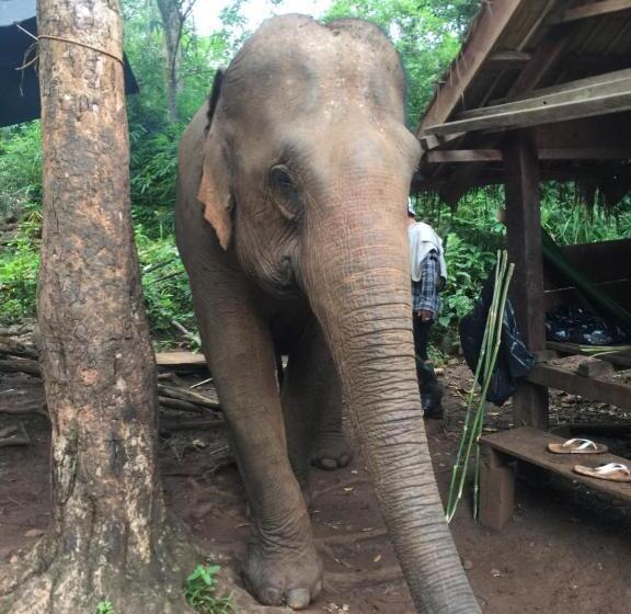 호텔 Route 76 Guest House