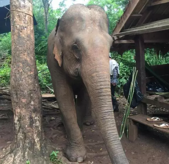 Hotelli Route 76 Guest House