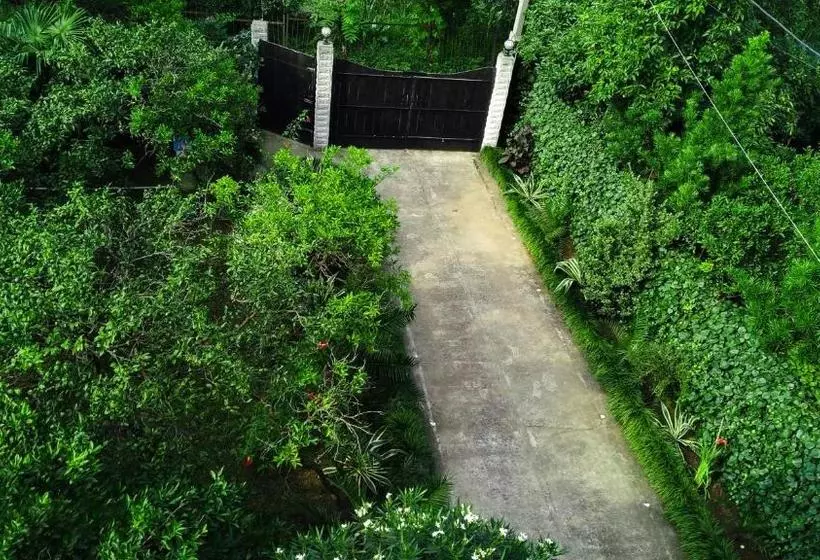 پانسیون Guesthouse Green Oasis