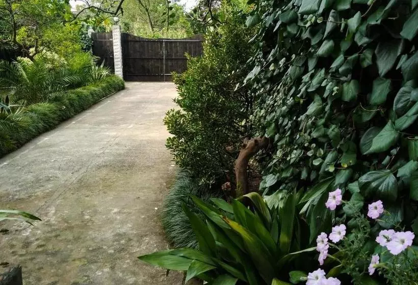 پانسیون Guesthouse Green Oasis
