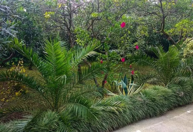 پانسیون Guesthouse Green Oasis