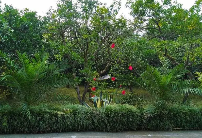پانسیون Guesthouse Green Oasis