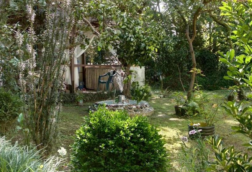 Pensão Guesthouse Green Oasis