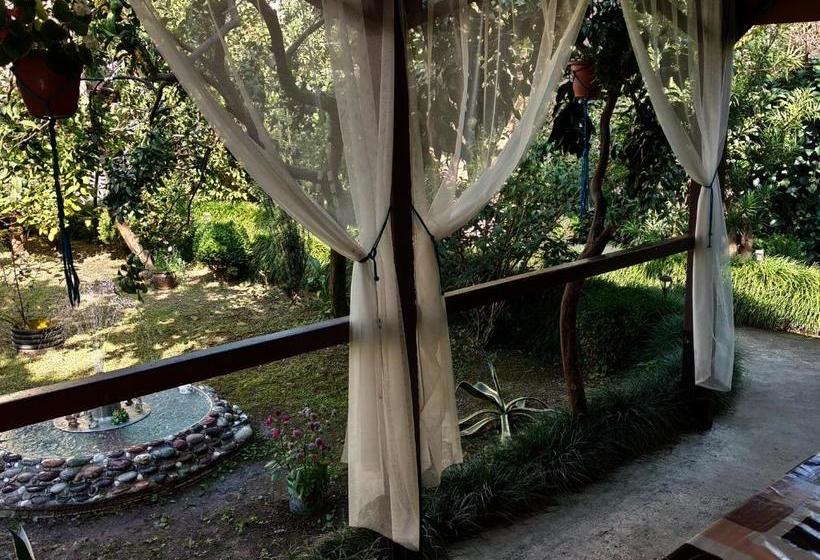 Pensão Guesthouse Green Oasis