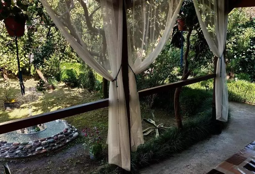 پانسیون Guesthouse Green Oasis