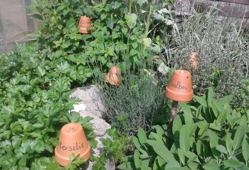 בית מלון כפרי Appartements Färberhof