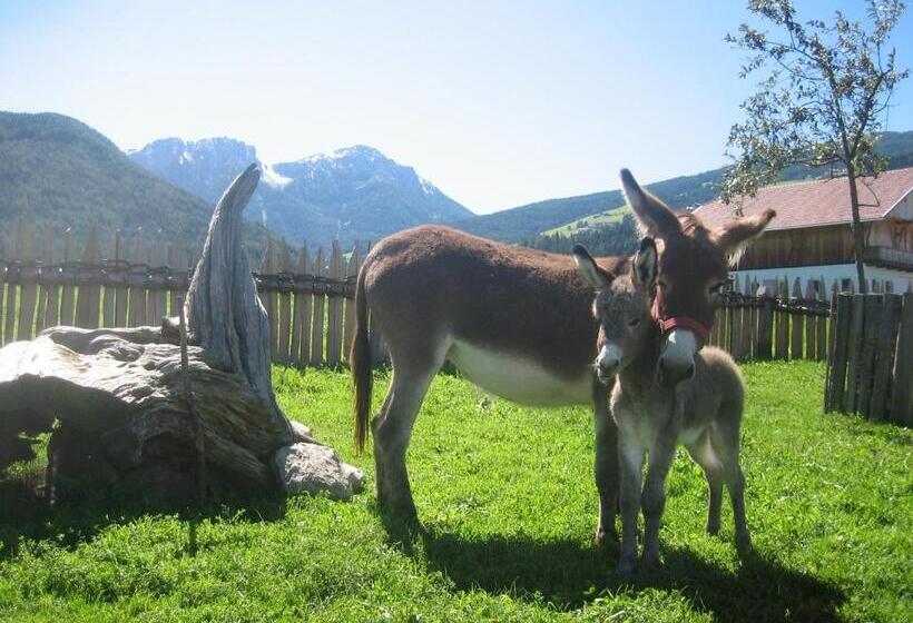 בית מלון כפרי Appartements Färberhof