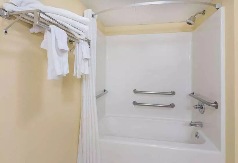 호텔 Baymont By Wyndham Sevierville Pigeon Forge