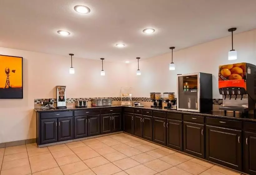 酒店 Best Western Inn Of Kilgore