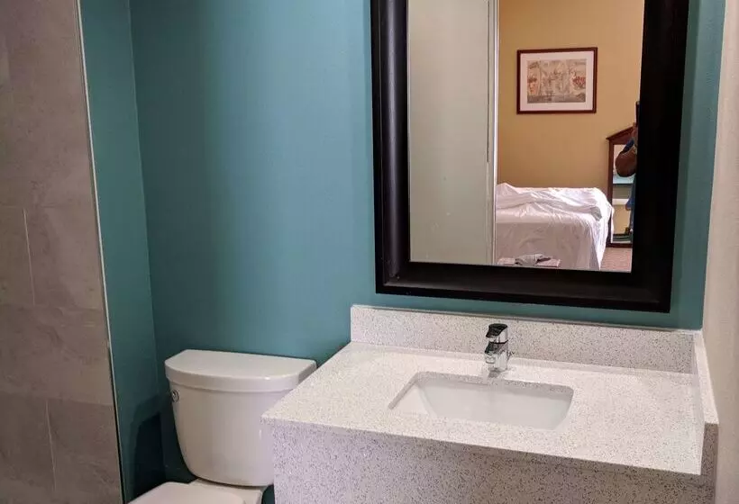 호텔 Best Western Intracoastal Inn