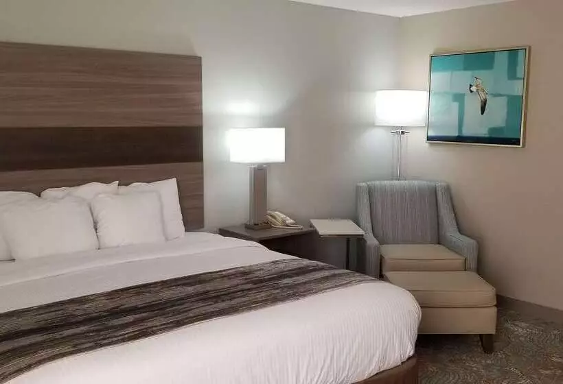호텔 Best Western Intracoastal Inn