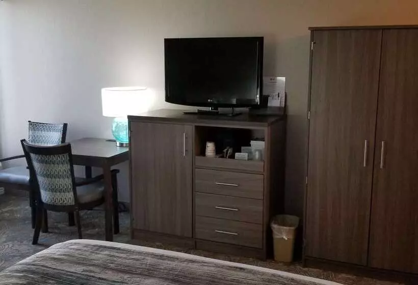 호텔 Best Western Intracoastal Inn