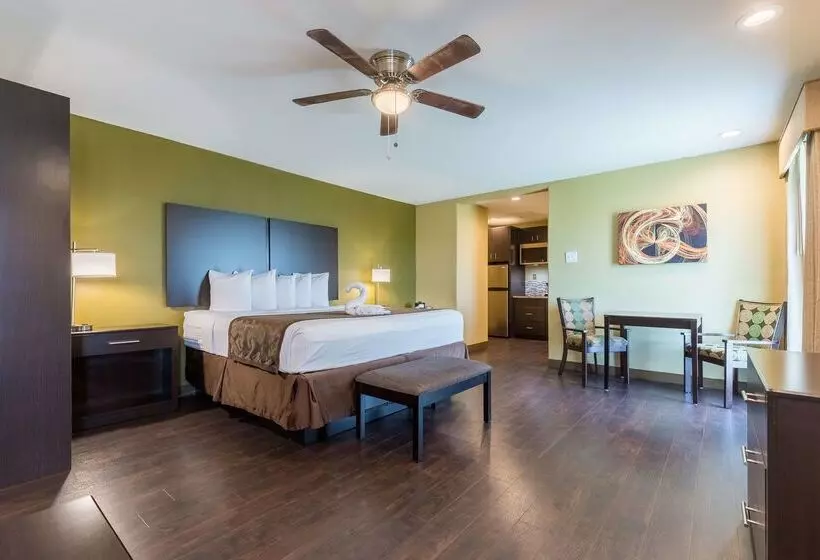 בית מלון כפרי Best Western Padre Island