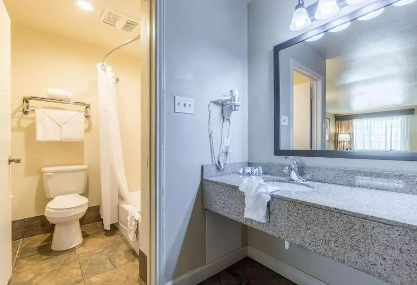 בית מלון כפרי Best Western Padre Island