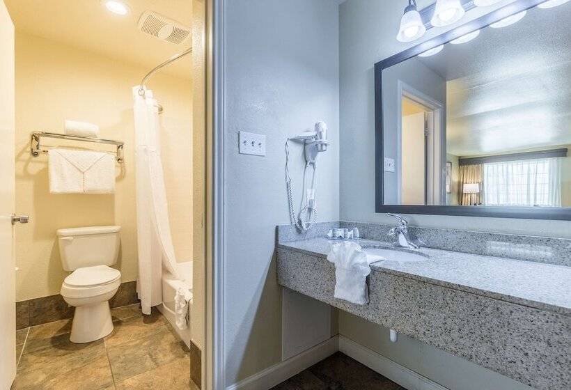 酒店 Best Western Padre Island