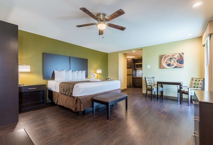 酒店 Best Western Padre Island