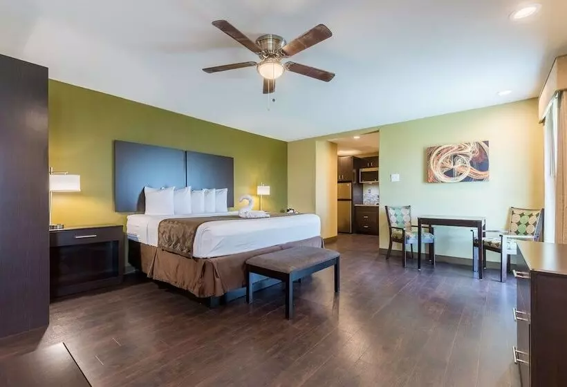 בית מלון כפרי Best Western Padre Island