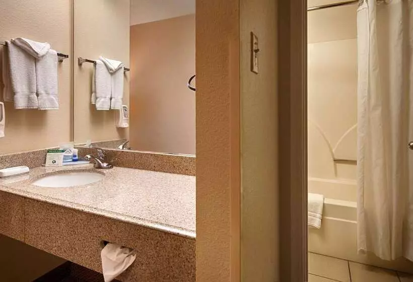 Hotel Surestay Plus By Best Western San Antonio Fiesta Inn