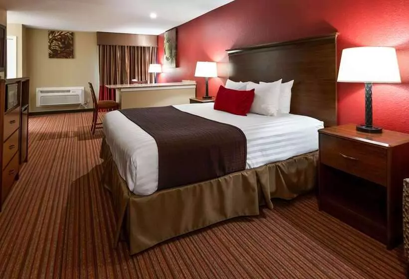 Hotel Surestay Plus By Best Western San Antonio Fiesta Inn