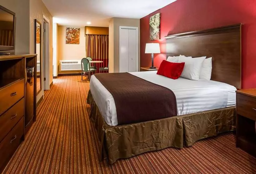 Hotel Surestay Plus By Best Western San Antonio Fiesta Inn