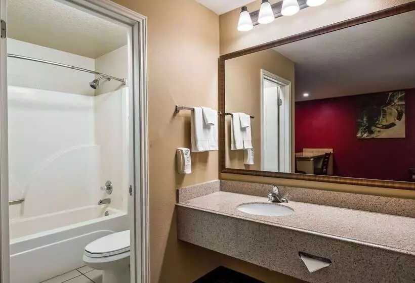 Hotel Surestay Plus By Best Western San Antonio Fiesta Inn