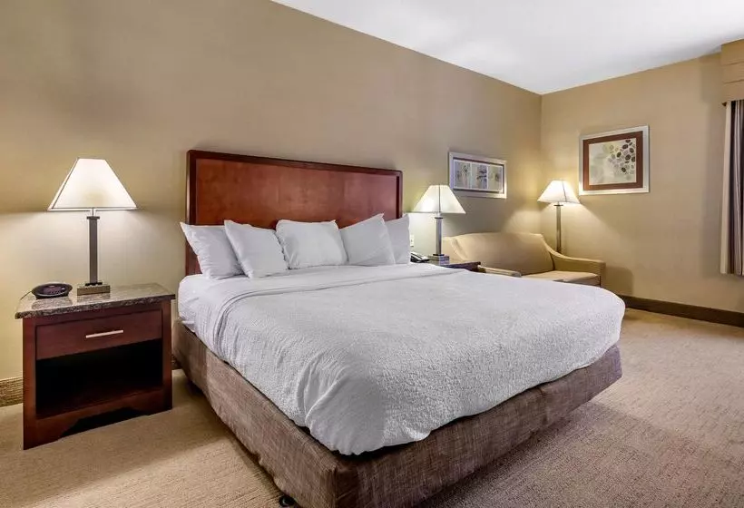 فندق Best Western Plus Inn At Hunt Ridge