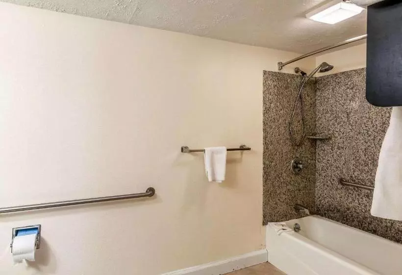 ホテル Quality Inn