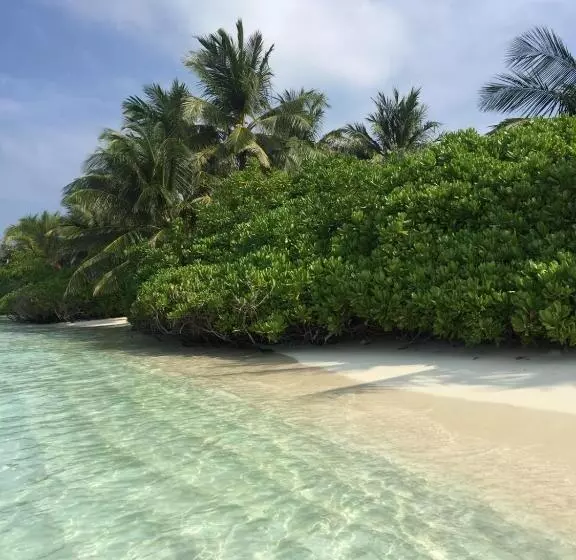 پانسیون Blue Water Thoddoo Inn