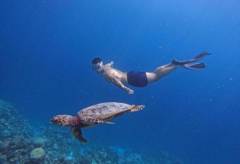 پانسیون Blue Water Thoddoo Inn