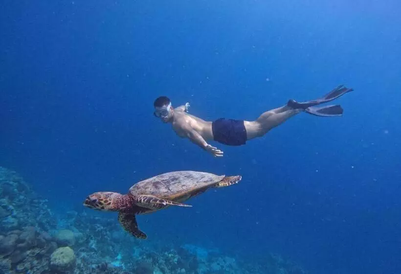 پانسیون Blue Water Thoddoo Inn