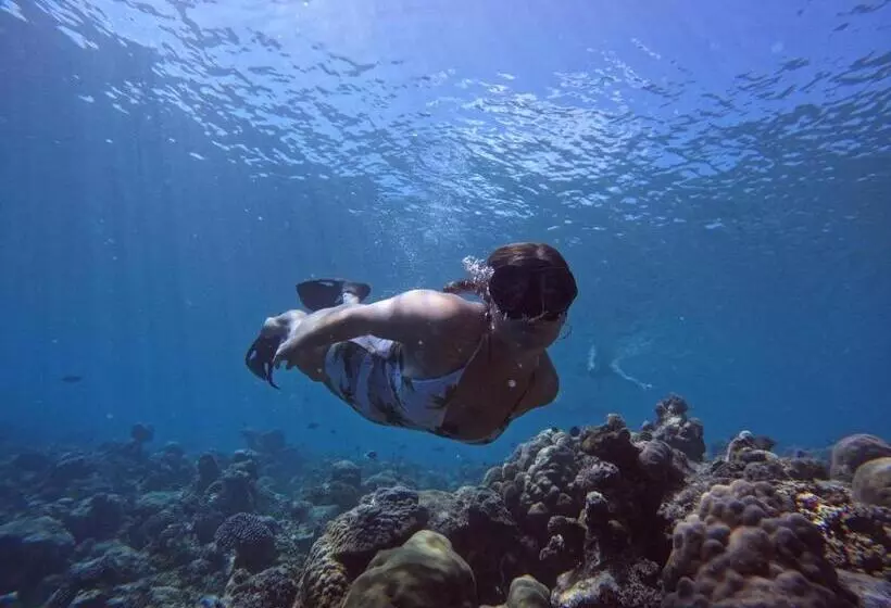 پانسیون Blue Water Thoddoo Inn