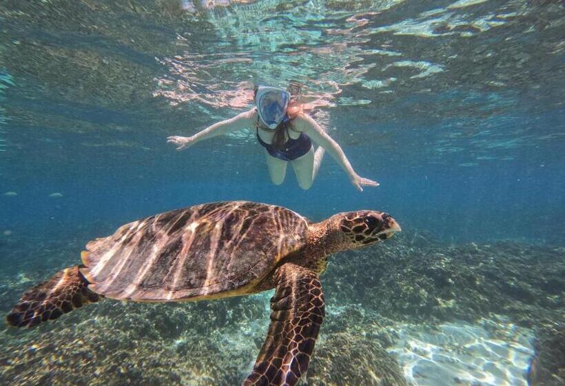 پانسیون Blue Water Thoddoo Inn