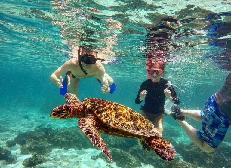 پانسیون Blue Water Thoddoo Inn