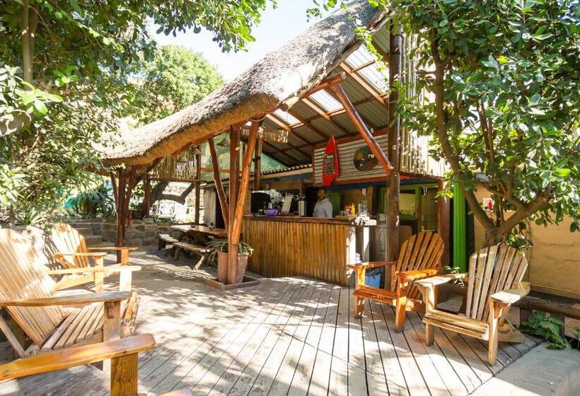 ユースホステル Coffee Shack Adventure Backpackers & Self Catering