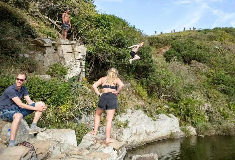 ユースホステル Coffee Shack Adventure Backpackers & Self Catering