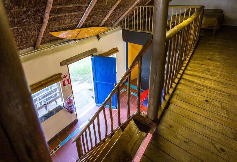 ユースホステル Coffee Shack Adventure Backpackers & Self Catering