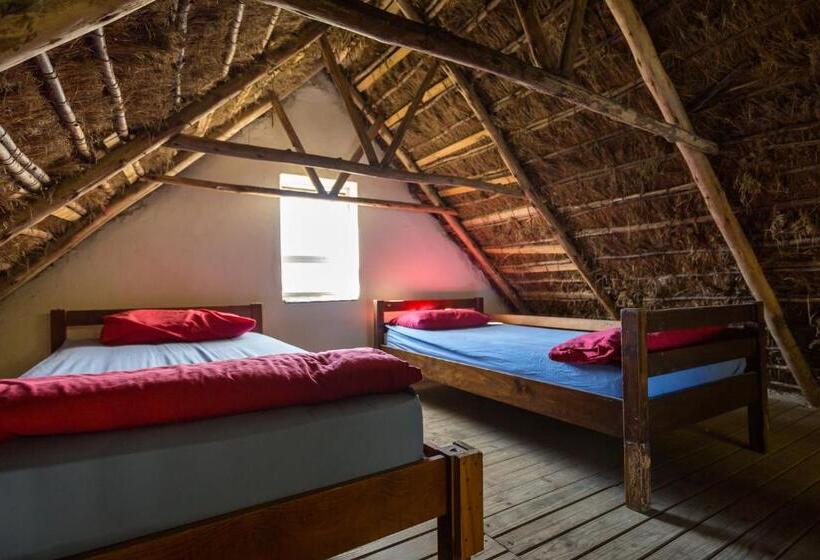 ユースホステル Coffee Shack Adventure Backpackers & Self Catering