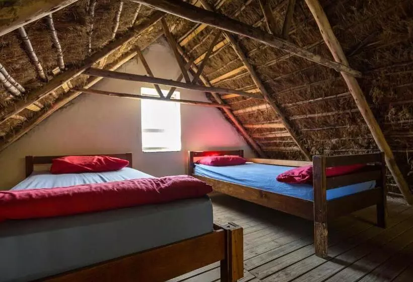 ユースホステル Coffee Shack Adventure Backpackers & Self Catering