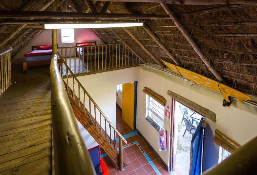 ユースホステル Coffee Shack Adventure Backpackers & Self Catering