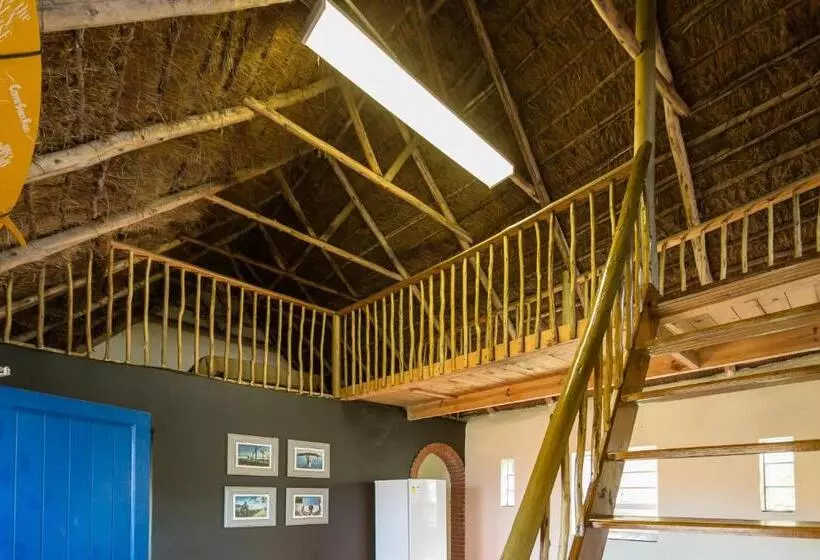 ユースホステル Coffee Shack Adventure Backpackers & Self Catering