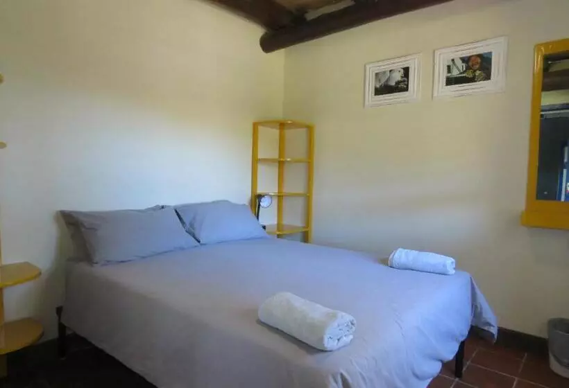 ユースホステル Coffee Shack Adventure Backpackers & Self Catering