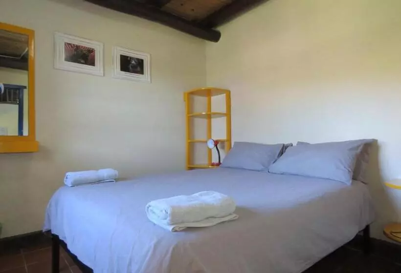 ユースホステル Coffee Shack Adventure Backpackers & Self Catering