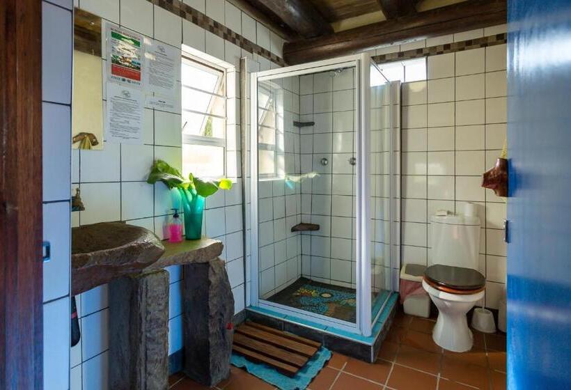 ユースホステル Coffee Shack Adventure Backpackers & Self Catering