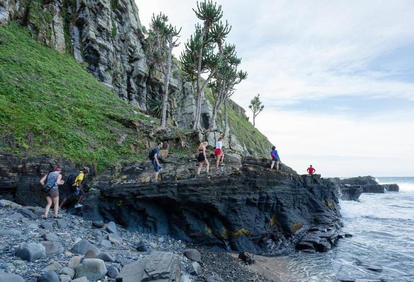 ユースホステル Coffee Shack Adventure Backpackers & Self Catering