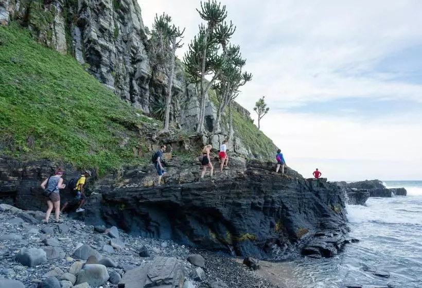 ユースホステル Coffee Shack Adventure Backpackers & Self Catering