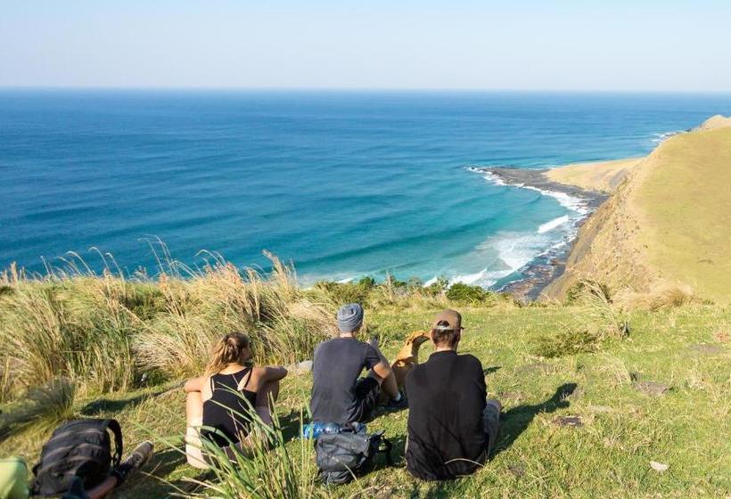 ユースホステル Coffee Shack Adventure Backpackers & Self Catering