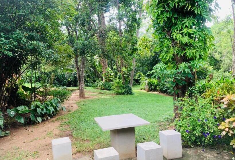 호스텔 Habarana Inn